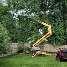 How Our Tree Care Process Works  in  Edgewater, FL